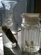 dashi01.jpg