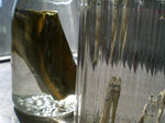 dashi02.jpg
