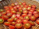 drytomato.jpg