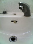 frog.jpg