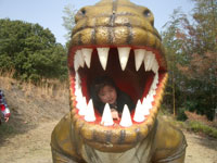 saurs02.jpg