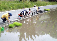 taue2.jpg