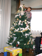 tree_kou.jpg