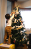 tree_saya.jpg